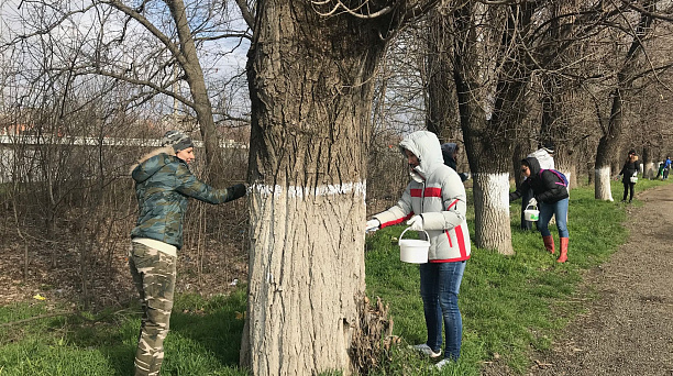 Сотрудники администрации Прикубанского округа приняли участие в субботнике