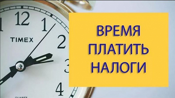 1 декабря истекает срок оплаты налоговых уведомлений за 2019 год