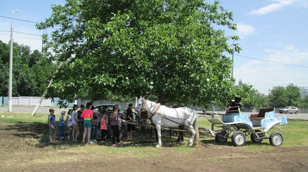 Моя малая Родина