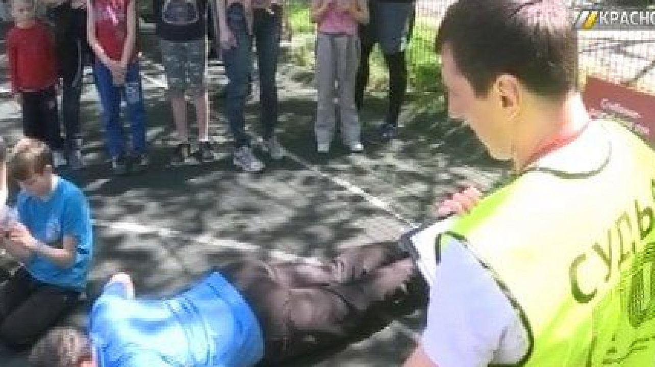 В Краснодаре провели экологический спортивный фестиваль