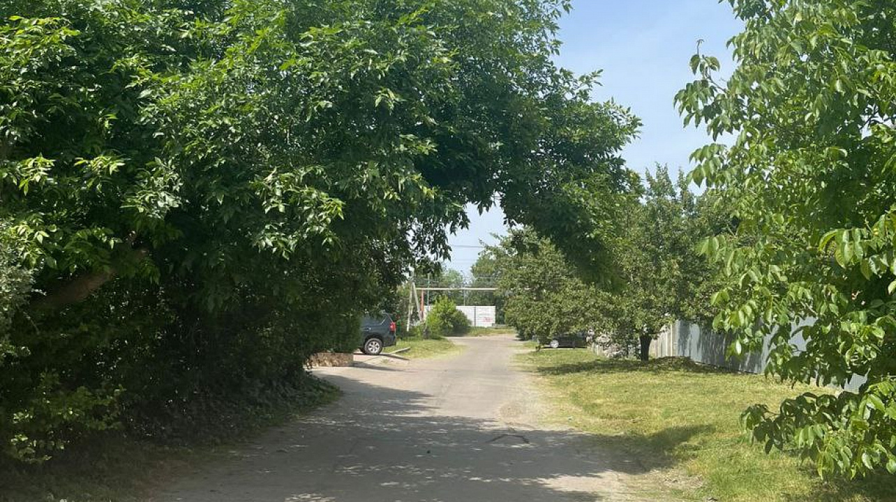 В Прикубанском округе с конца апреля и по сегодняшний день скошено 280 гектаров амброзии и другой сорной растительности.