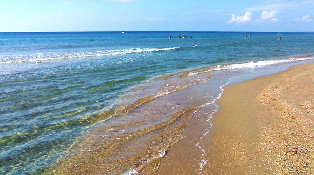 Активные горожане открыли «бархатный» сезон