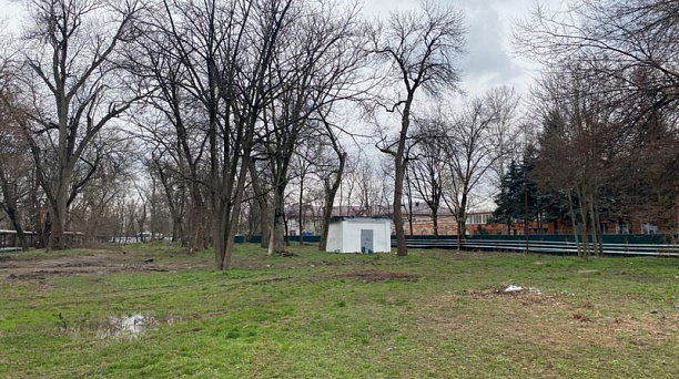 Сегодня последний день голосования за зеленые зоны