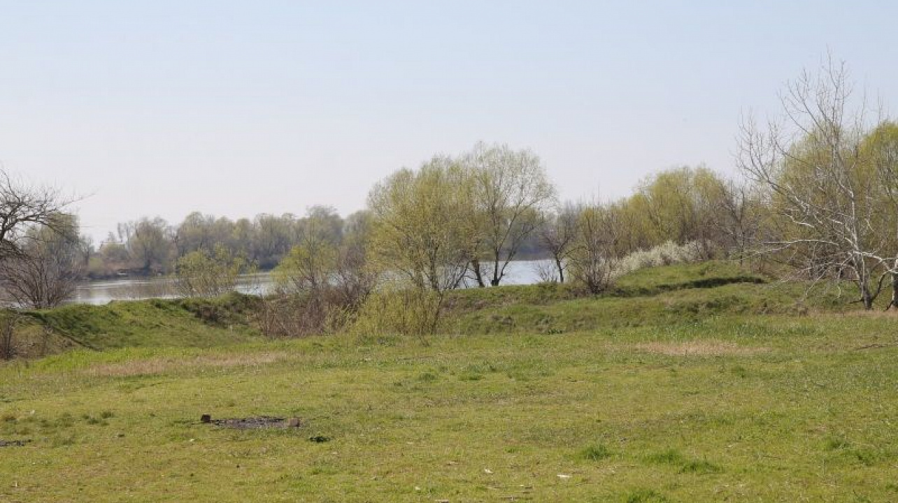 Фото: Ярослав Потапов