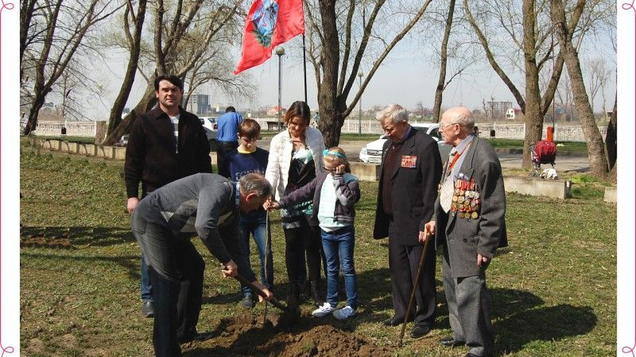 В Краснодаре стартовала акция Лес Победы (3).jpg