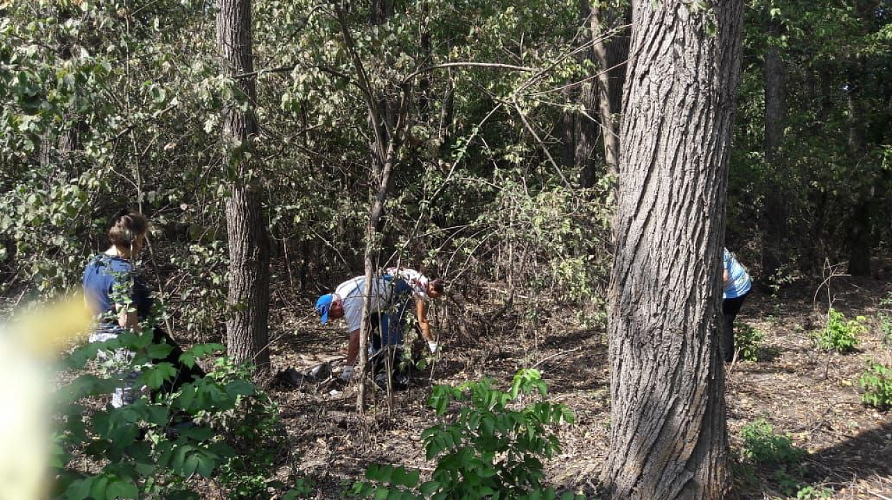 В Елизаветинском сельском округе прошла экологическая акция  «Сохраним природу вместе!»