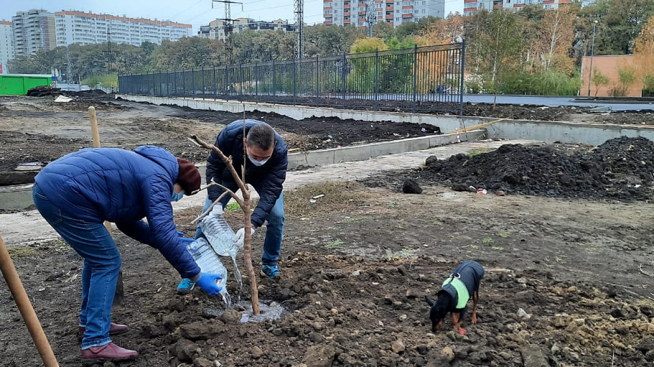 21 ноября Калининский совет ветеранов принял участие в высадке деревьев.jpeg