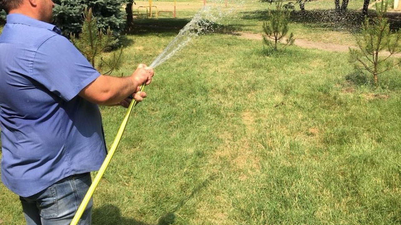 В Рождественском парке произвели полив Крымских сосен