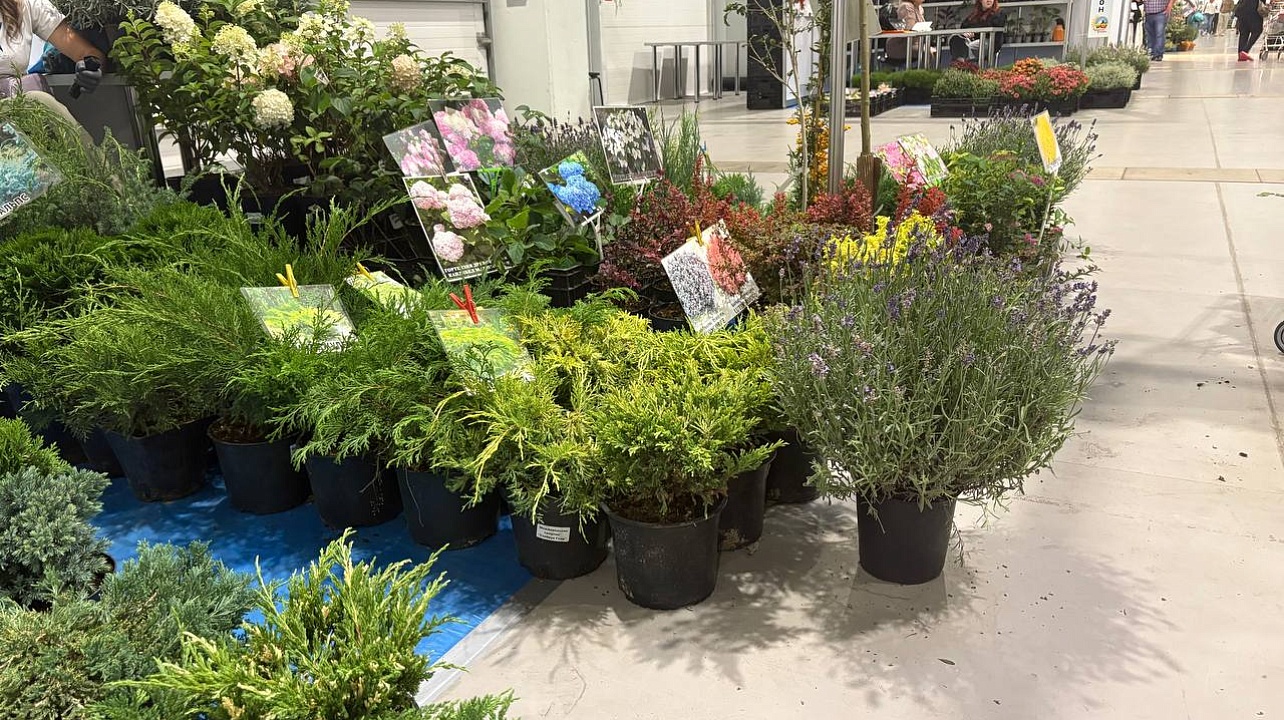 Фото: Пресс-служба администрации Краснодара