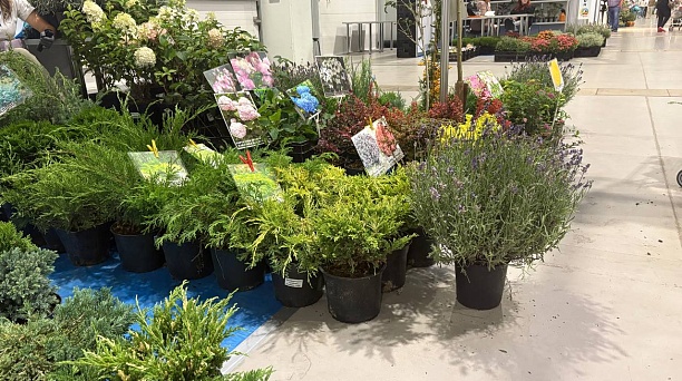 В Краснодаре пройдёт ярмарка «Осень на даче»