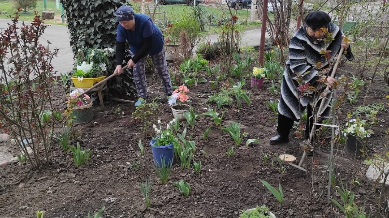 Фото: администрации Центрального округа