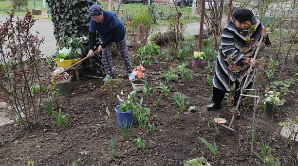 Что ни день, то санитарный: председатели органов ТОС Центрального округа делятся результатами субботников по месту жительства