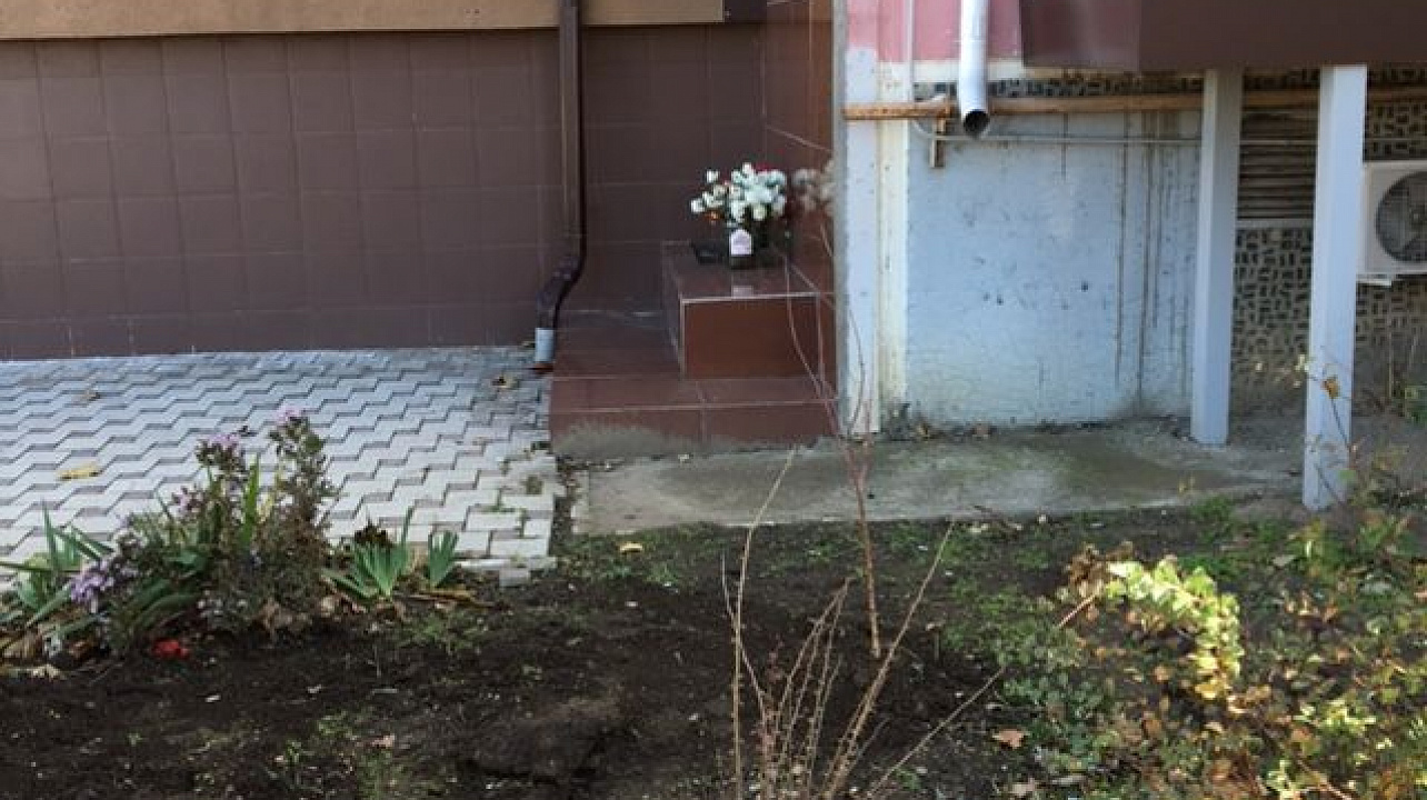 В Западном округе проведена высадка многолетних растений