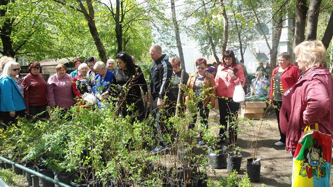 Молодое поколение учится помогать городу