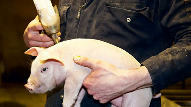 Администрация Западного округа информирует