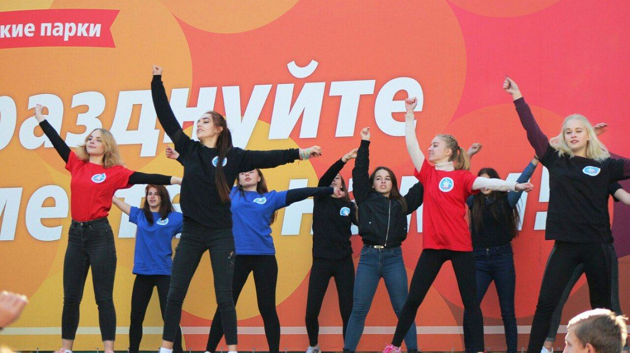 Молодежный Совет Западного округа провел праздничную программу, посвященную Дню народного единства