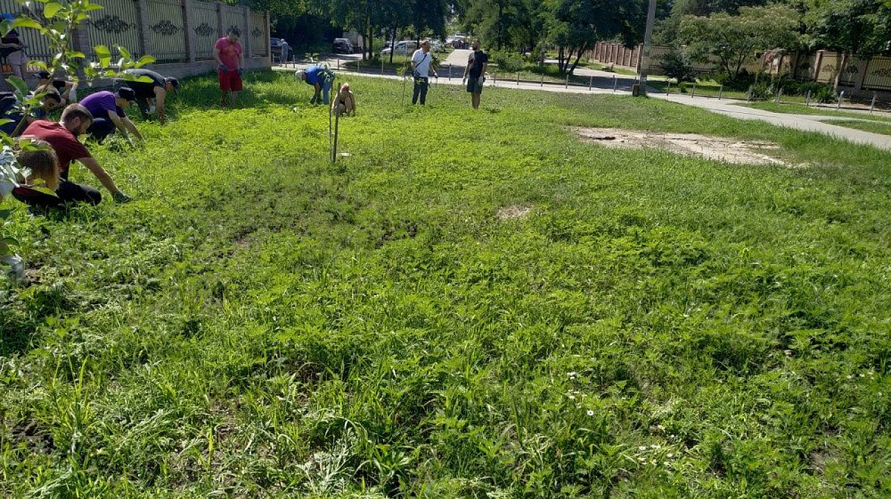 Краснодар_ЗВО_амброзия (10).jpeg