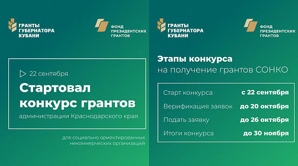 Стартовал конкурс грантов краевой администрации для социально ориентированных НКО
