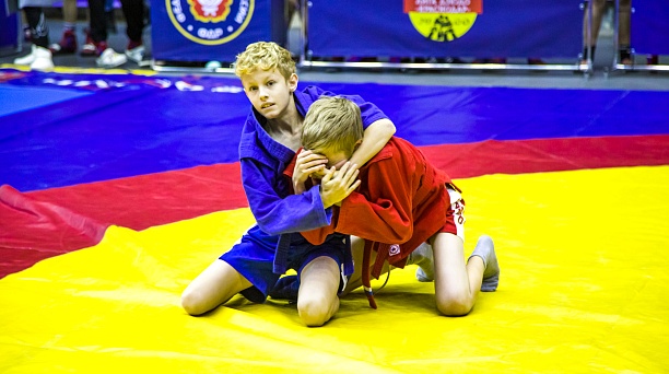 Борис Тихоненко: В самбо у нас обязательно будут хорошие результаты