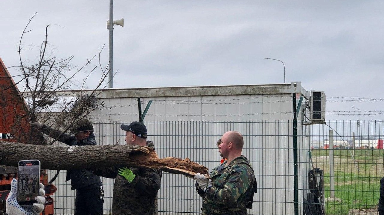 Фото: Пресс-служба администрации Краснодара