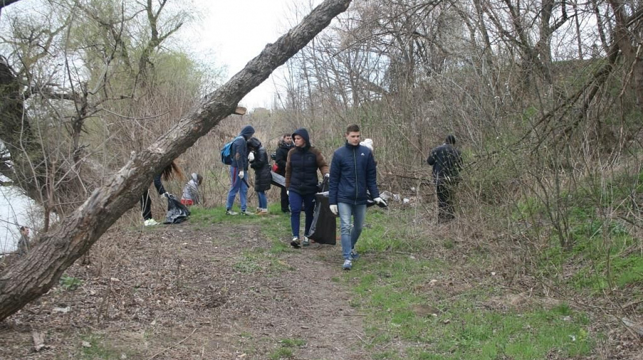 Студенты аграрного университета приняли участие в субботнике на берегу реки Кубань
