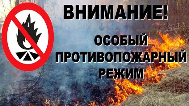 В связи с установившимися погодными условиями введён особый противопожарный режим