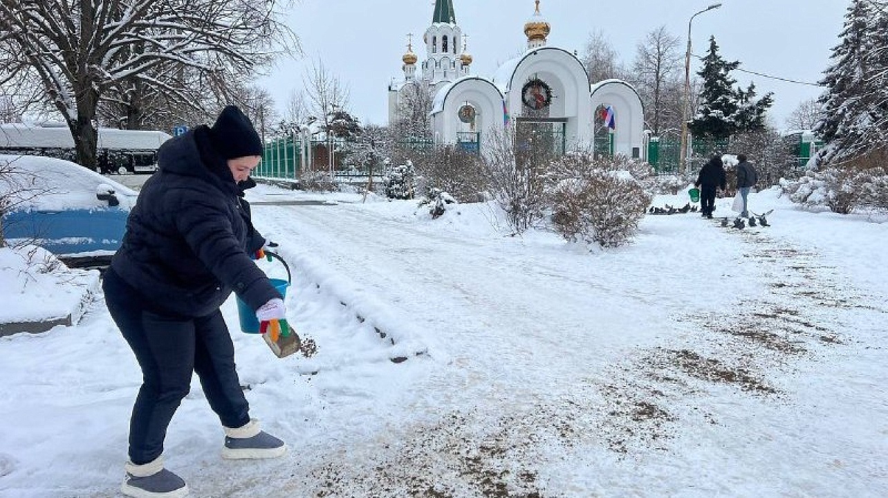 Фото: городская Дума Краснодара