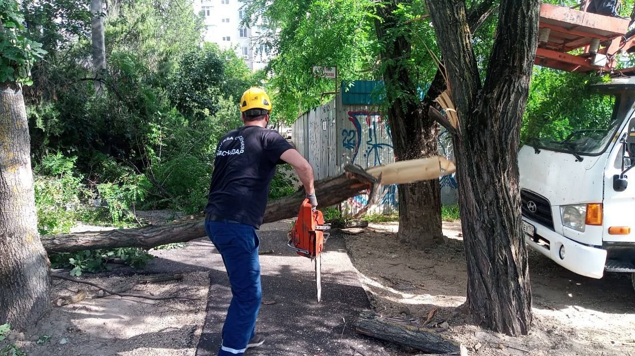 Фото: Пресс-служба администрации Краснодара