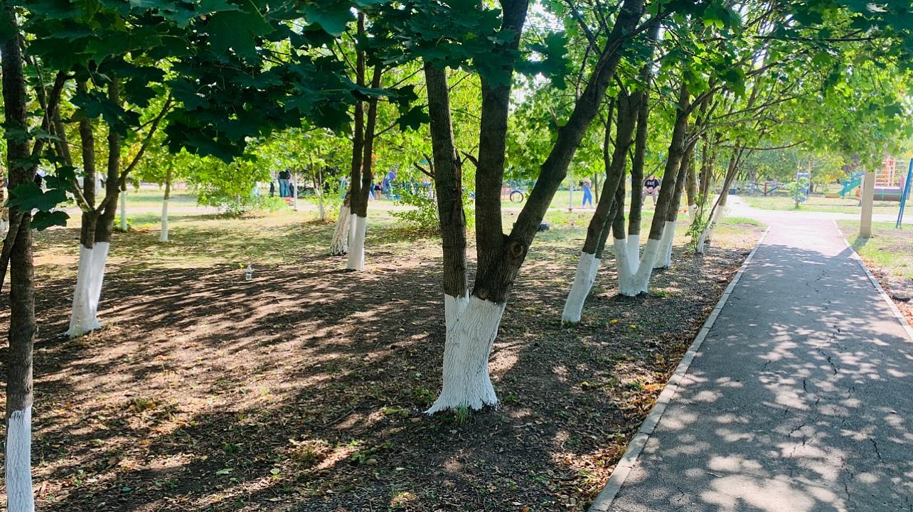 Общегородской субботник прошёл в Прикубанском округе