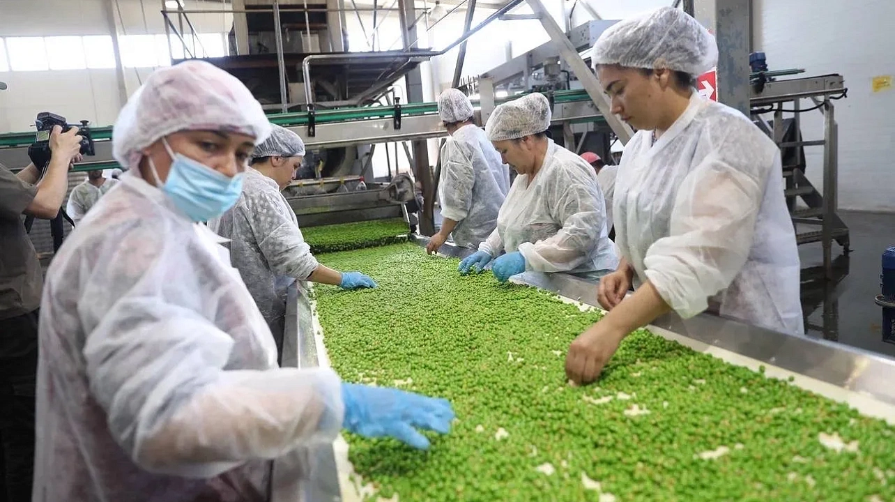 Фото: Пресс-служба администрации Краснодара