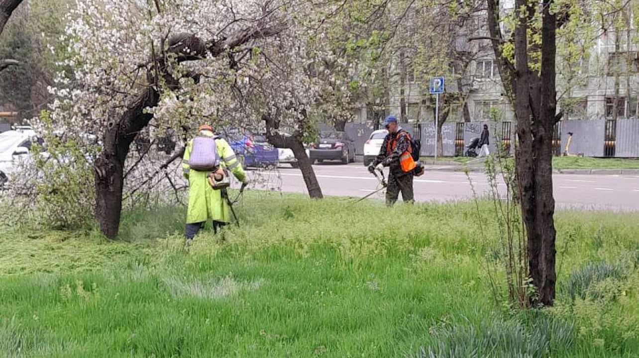 Фото: Пресс-служба администрации Краснодара
