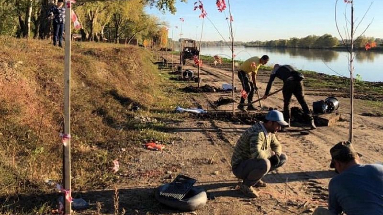 Центральный округ принял участие в акции «Сад Победы»