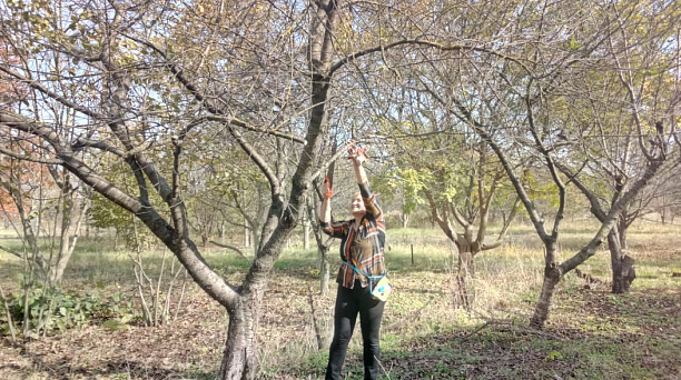 В Святоникольском парке микрорайона Дивный проходит череда субботников