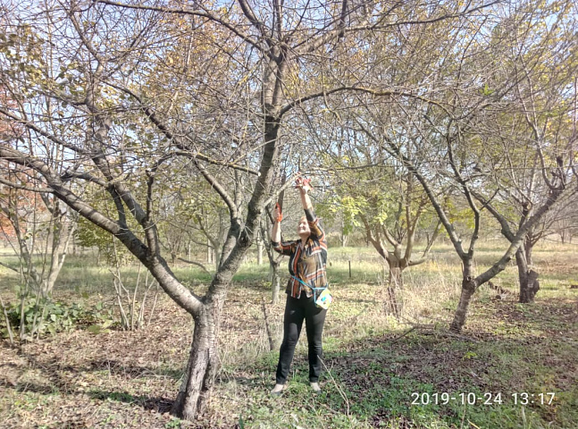 IMG-20191024-WA0012.jpg