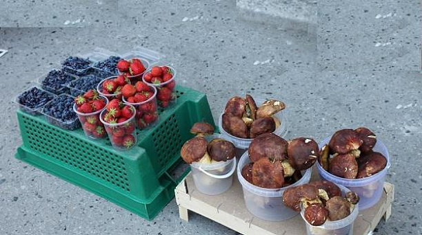 Борьба с несанкционированной торговлей продолжается