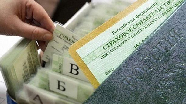 На Кубани в 2022 году проактивно оформлены СНИЛС на более 31,7 тысяч детей