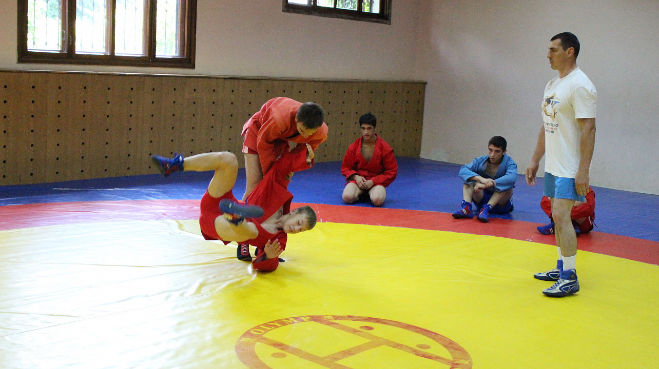 Самбо в ГТО