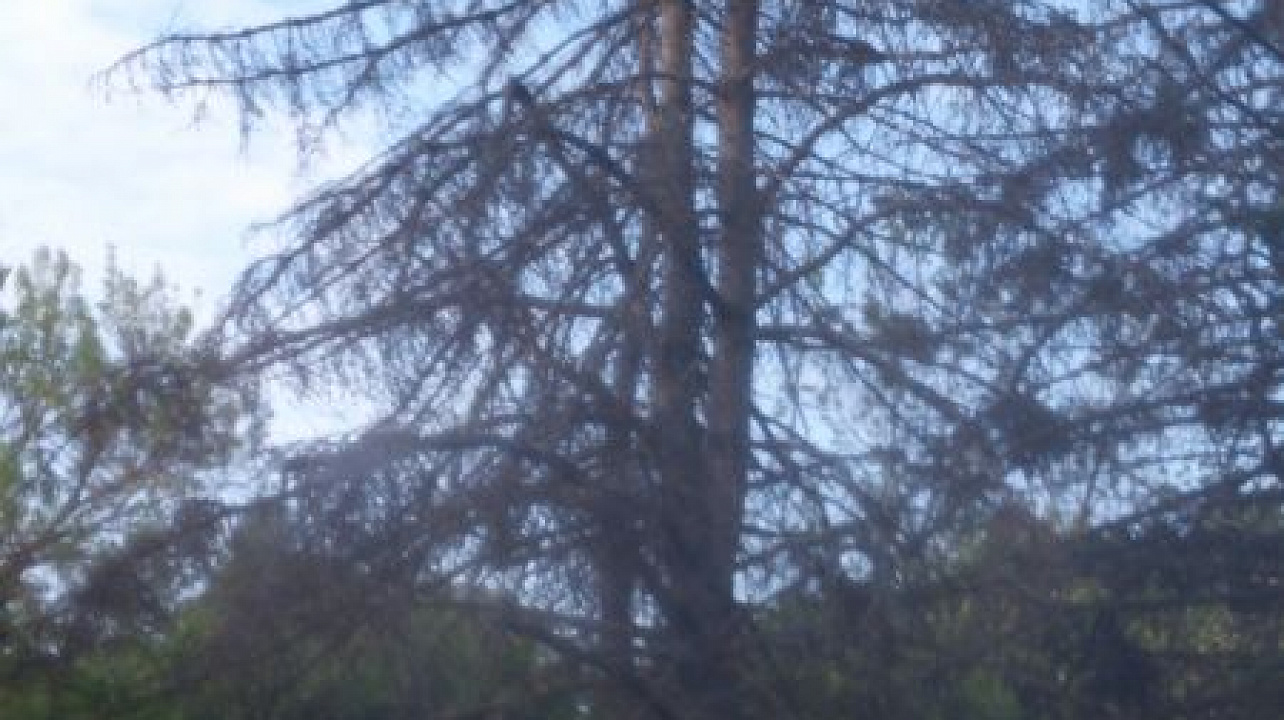 Фото: Пресс-служба администрации Краснодара