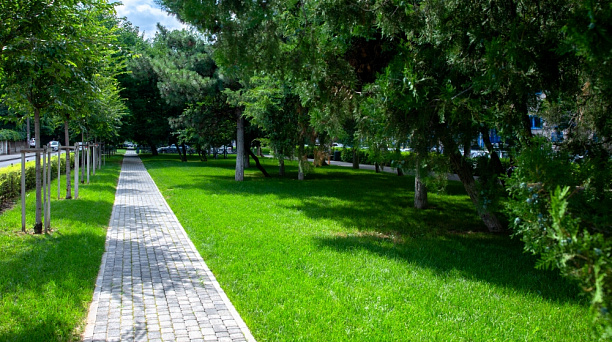 Идёт последний день голосования за зелёные зоны Краснодара для благоустройства в 2023 году