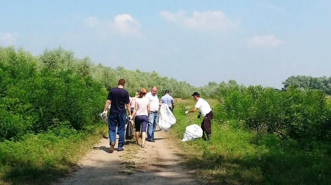 Береговую зону Кубани в районе станицы Елизаветинской очистили от мусора