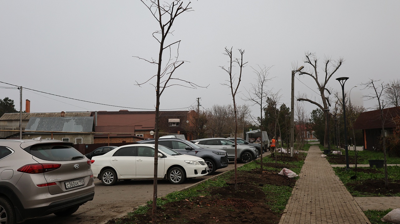 Фото: администрации Центрального округа