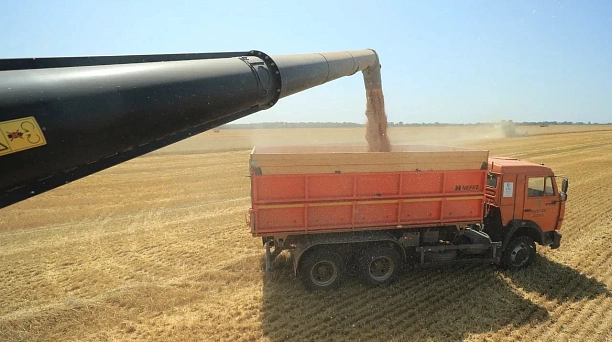 В 2025 году объём производства сельхозпродукции Краснодара превысил 13,5 млрд рублей