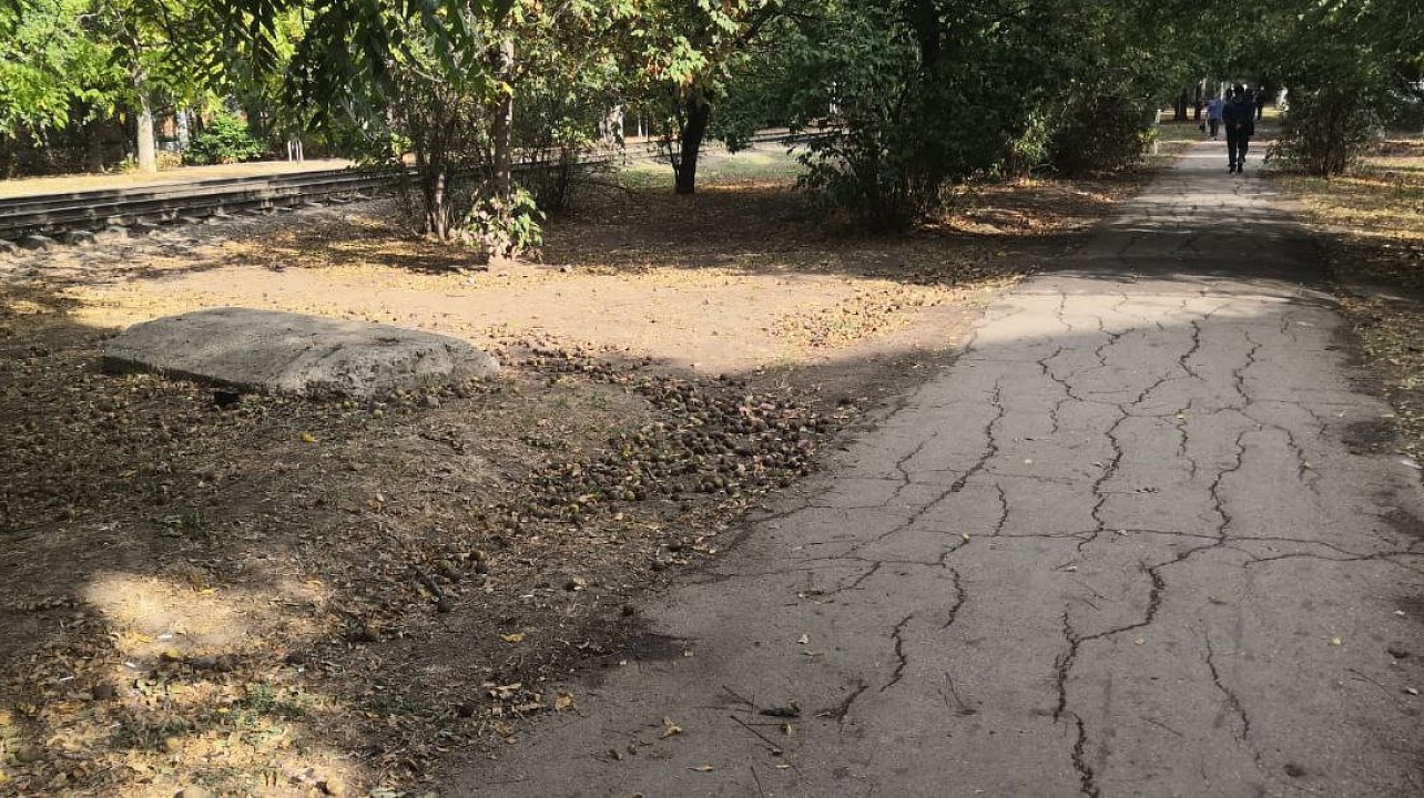 Фото: администрации Центрального округа