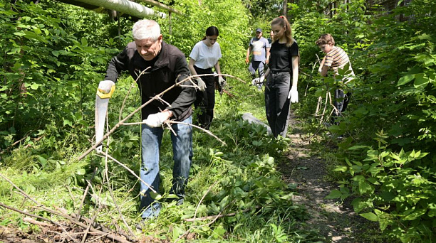 На участке по ул. Зиповской в районе Чистяковской рощи появится новая зеленая зона