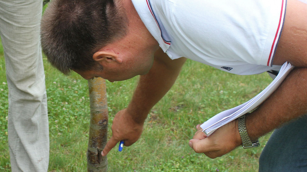 Фото: пресс-служба администрации Краснодара