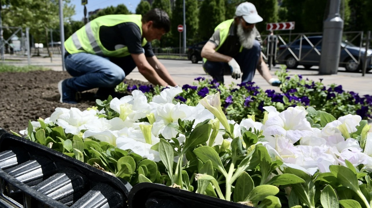 Фото: Александр Райко, Станислав Телеховец