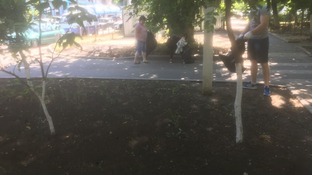 В Западном округе ведется работа по ликвидации амброзии