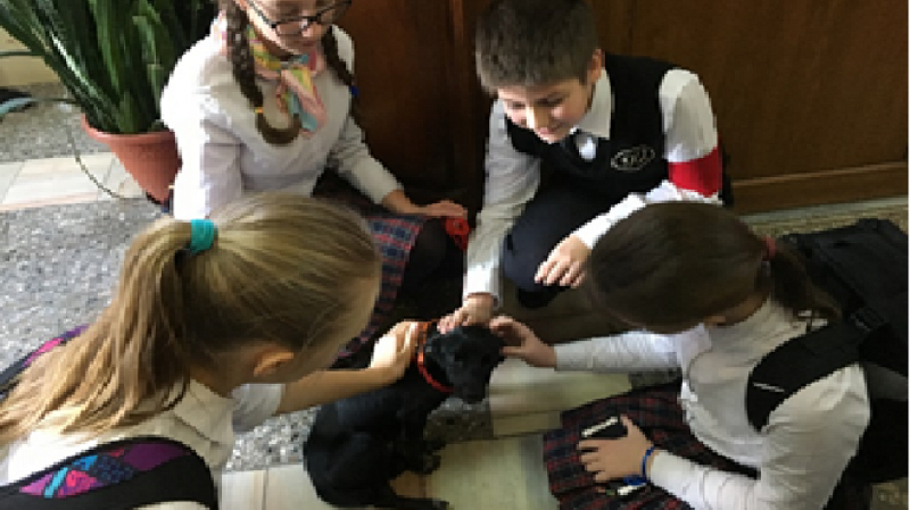 «Новогодний день добра»