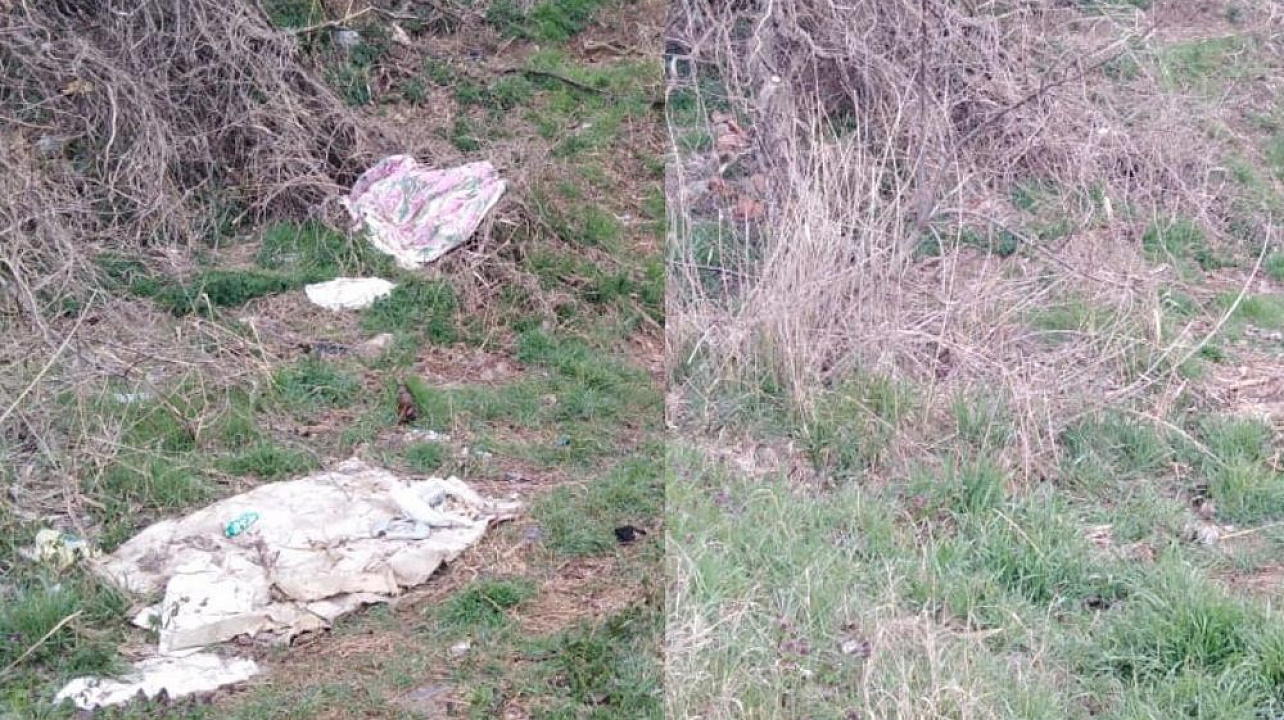 В ходе экологического флешмоба в Краснодаре очистили от мусора участок в районе сквера 80-летия образования Краснодарского края