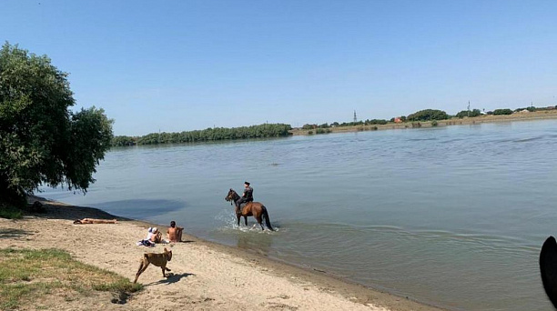 Под чутким присмотром